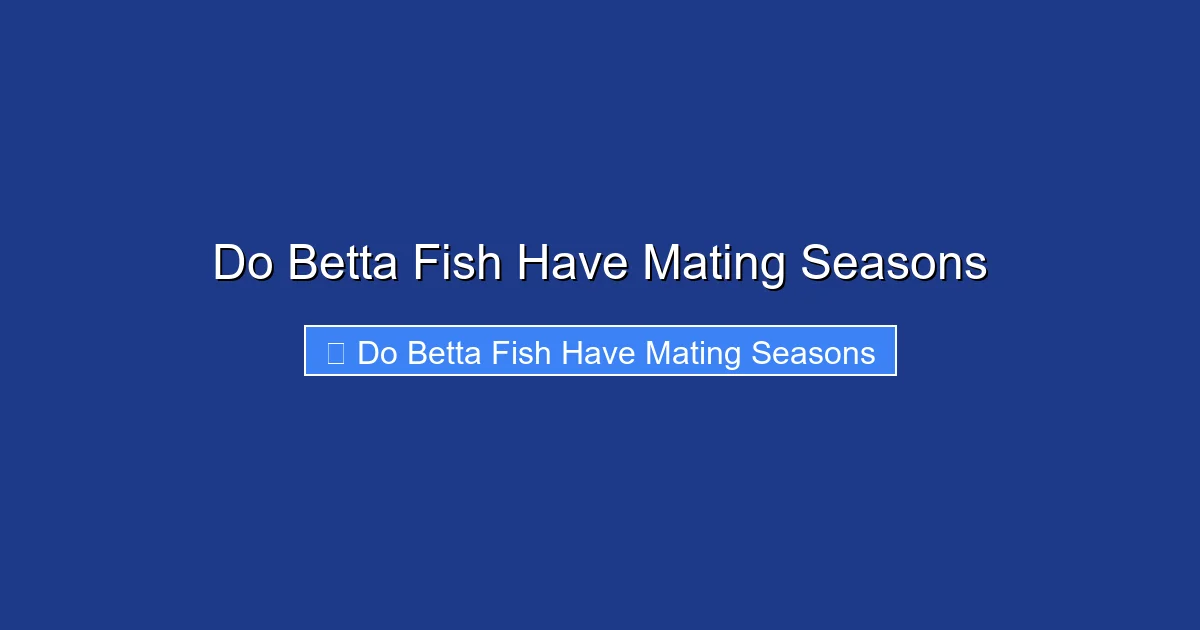 Do Betta Fish Have Mating Seasons