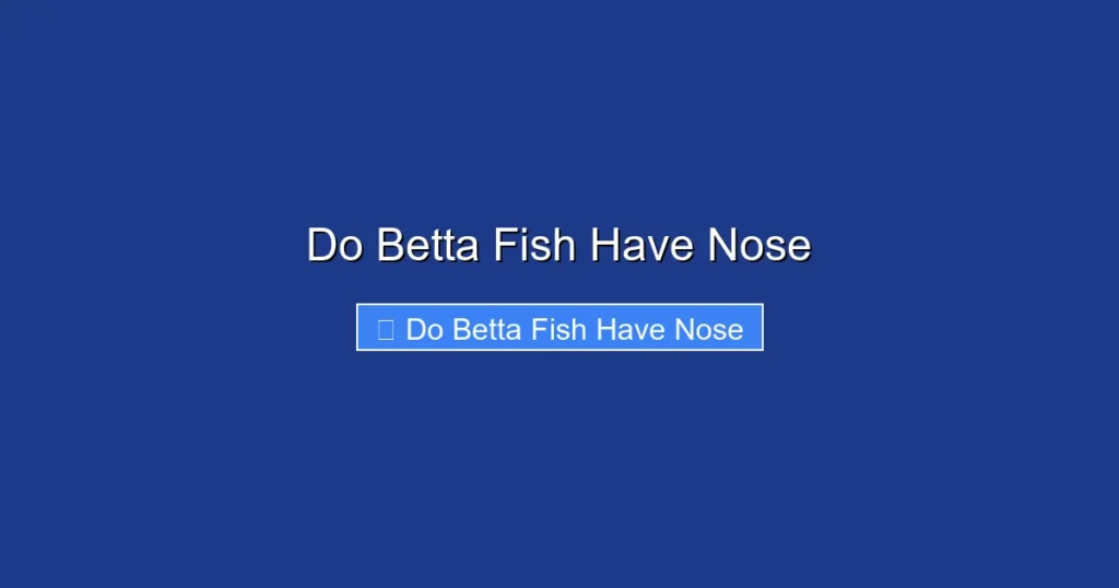 Do Betta Fish Have Nose