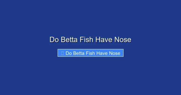 Do Betta Fish Have Nose