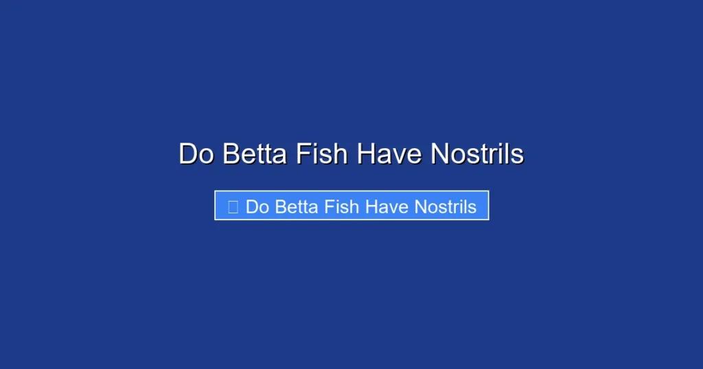 Do Betta Fish Have Nostrils