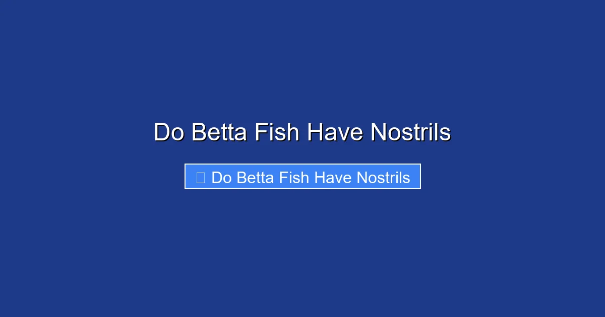Do Betta Fish Have Nostrils