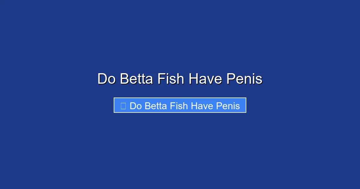 Do Betta Fish Have Penis