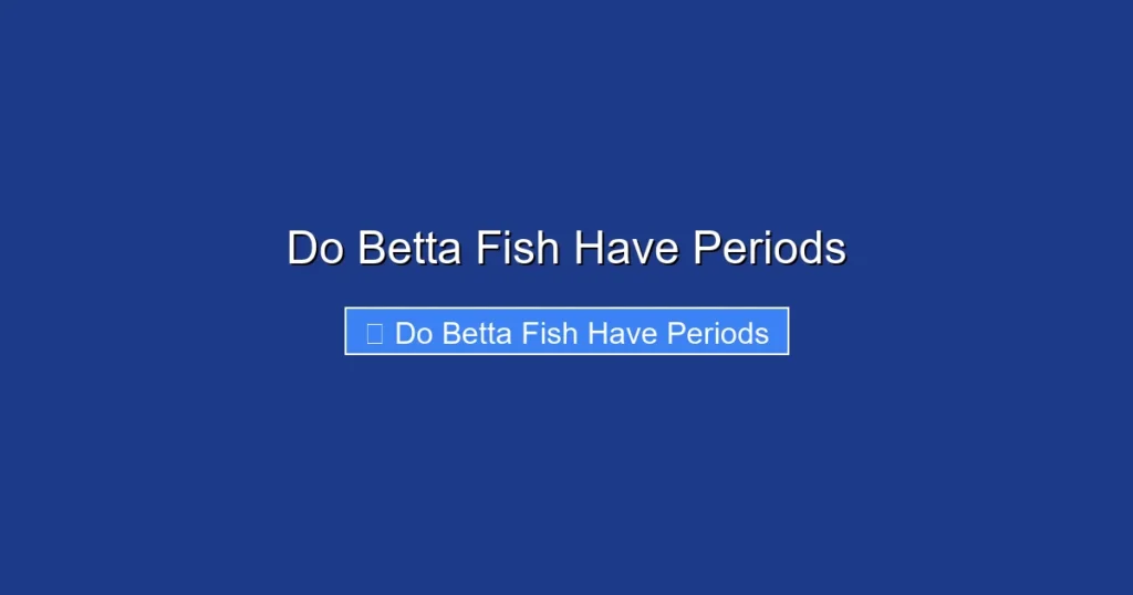 Do Betta Fish Have Periods
