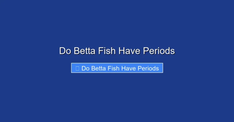 Do Betta Fish Have Periods