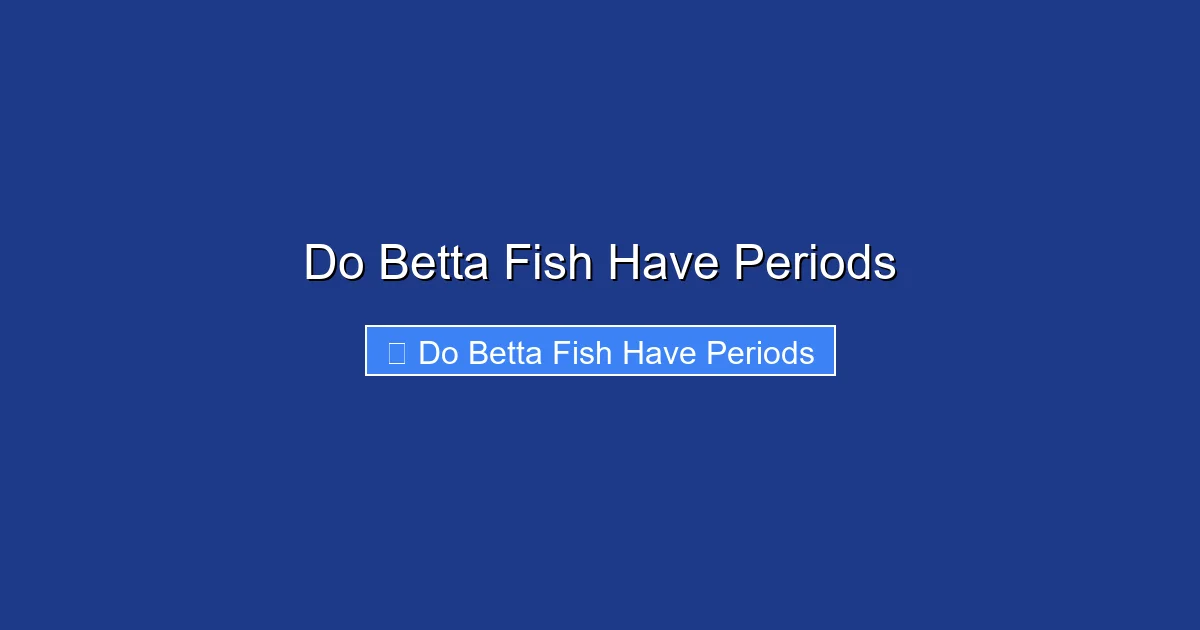 Do Betta Fish Have Periods