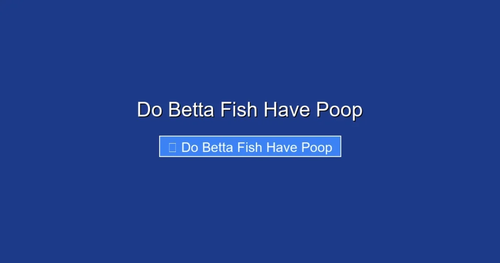 Do Betta Fish Have Poop