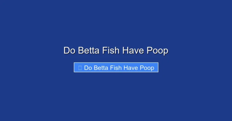 Do Betta Fish Have Poop