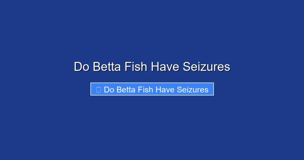 Do Betta Fish Have Seizures