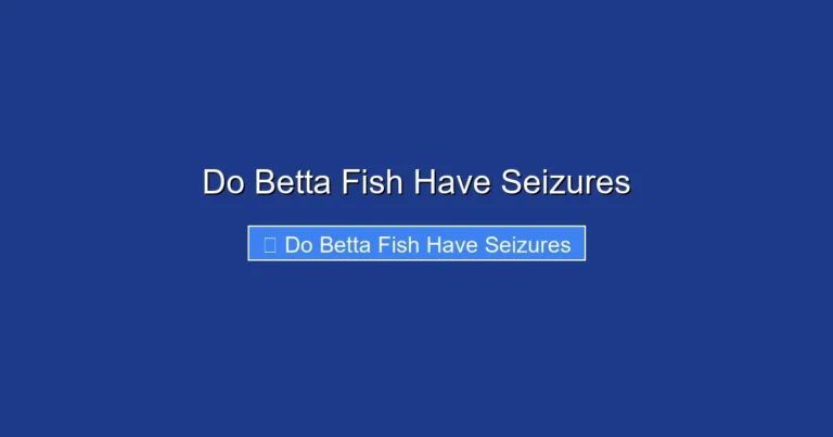 Do Betta Fish Have Seizures