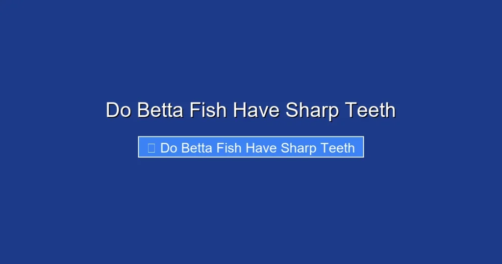 Do Betta Fish Have Sharp Teeth