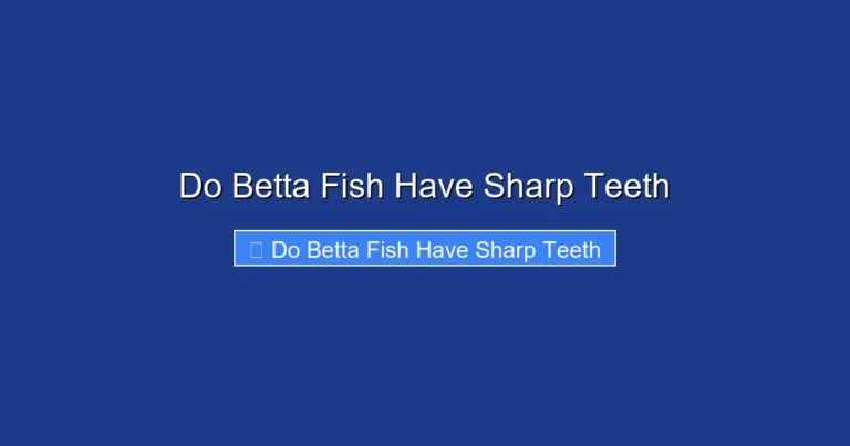 Do Betta Fish Have Sharp Teeth