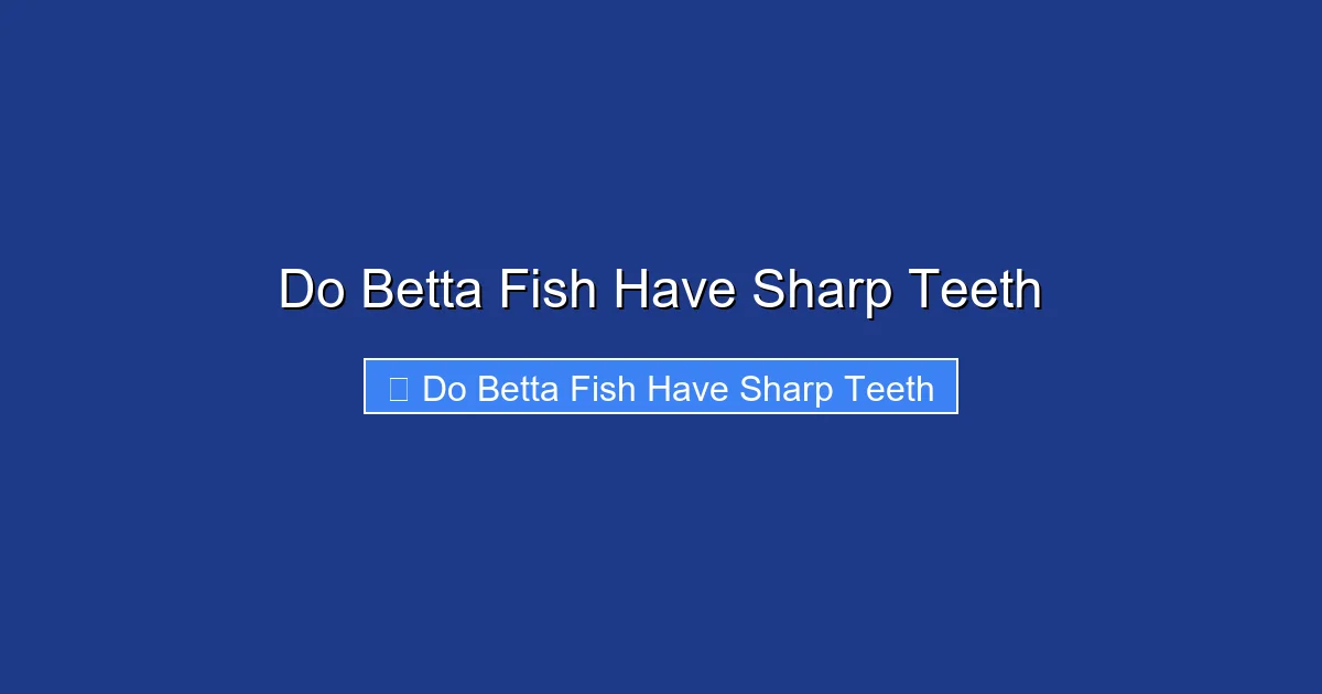 Do Betta Fish Have Sharp Teeth