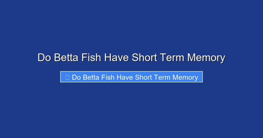 Do Betta Fish Have Short Term Memory