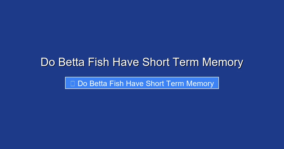 Do Betta Fish Have Short Term Memory