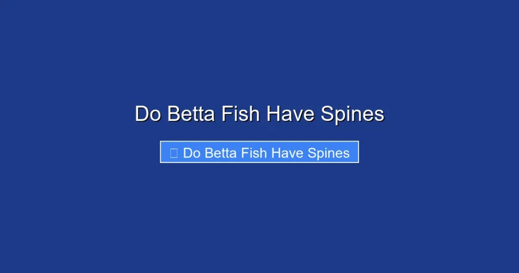 Do Betta Fish Have Spines