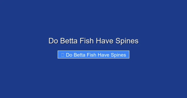 Do Betta Fish Have Spines