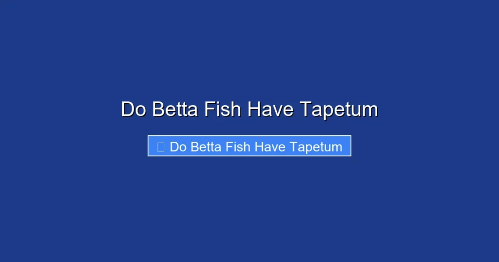 Do Betta Fish Have Tapetum
