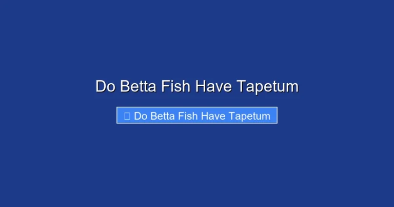 Do Betta Fish Have Tapetum
