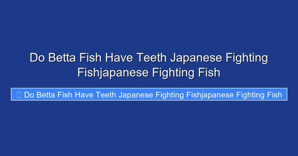 Do Betta Fish Have Teeth Japanese Fighting Fishjapanese Fighting Fish