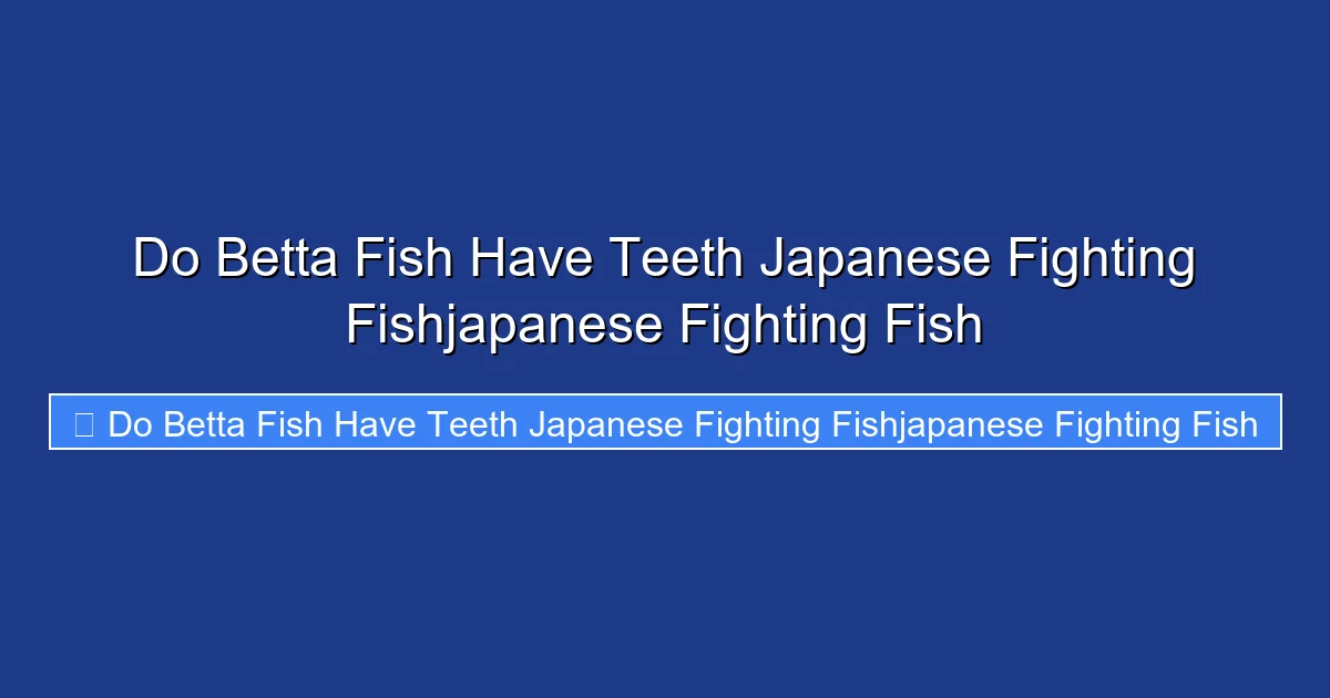 Do Betta Fish Have Teeth Japanese Fighting Fishjapanese Fighting Fish