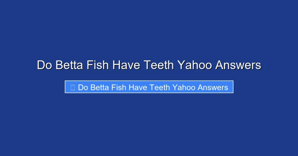 Do Betta Fish Have Teeth Yahoo Answers