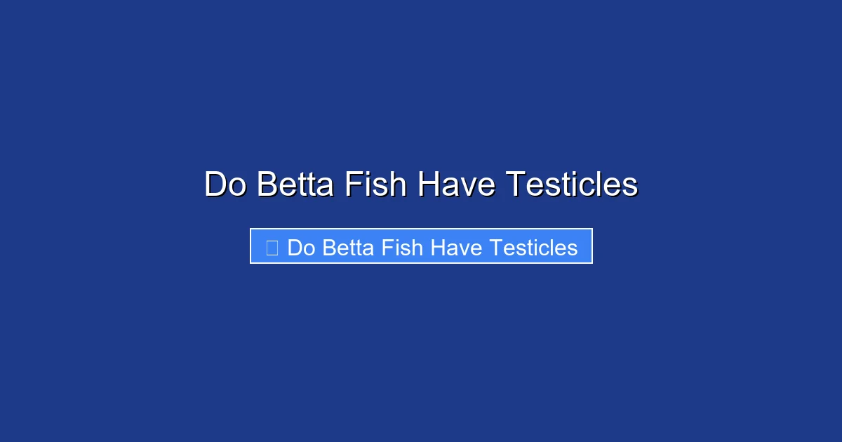Do Betta Fish Have Testicles