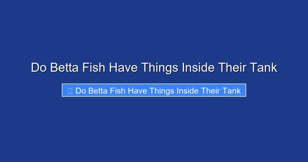 Do Betta Fish Have Things Inside Their Tank