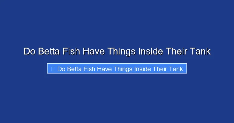 Do Betta Fish Have Things Inside Their Tank