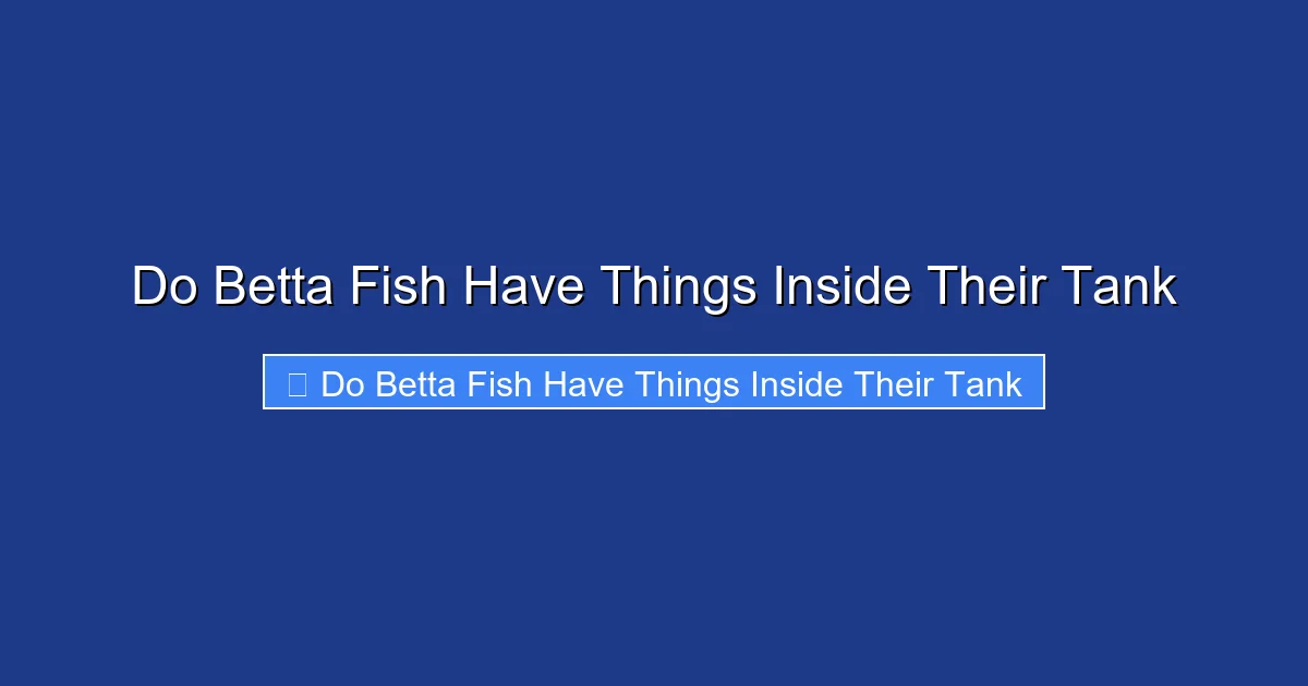 Do Betta Fish Have Things Inside Their Tank