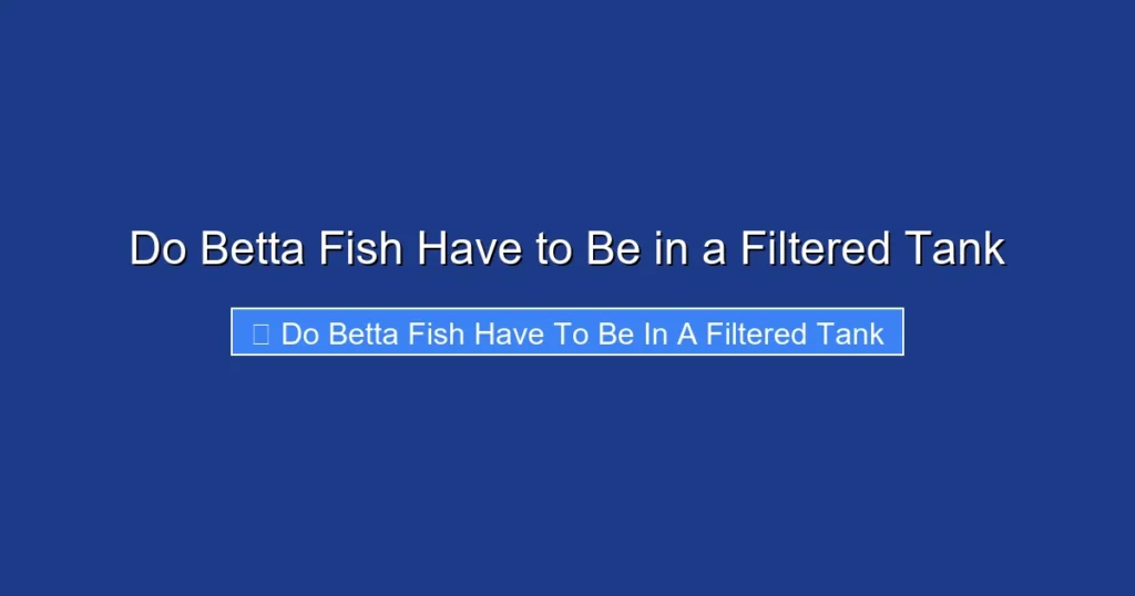 Do Betta Fish Have to Be in a Filtered Tank