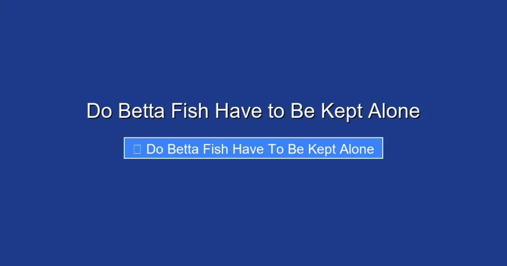 Do Betta Fish Have to Be Kept Alone