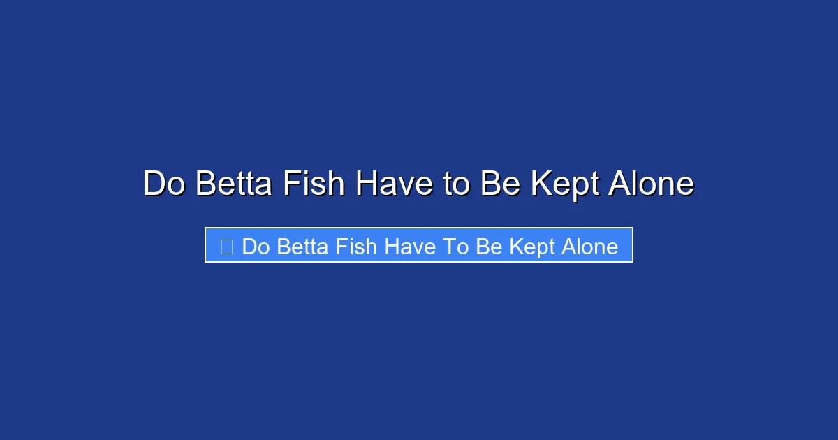 Do Betta Fish Have to Be Kept Alone