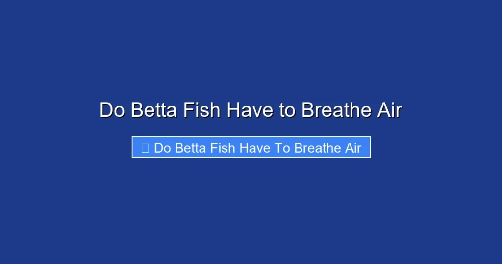 Do Betta Fish Have to Breathe Air