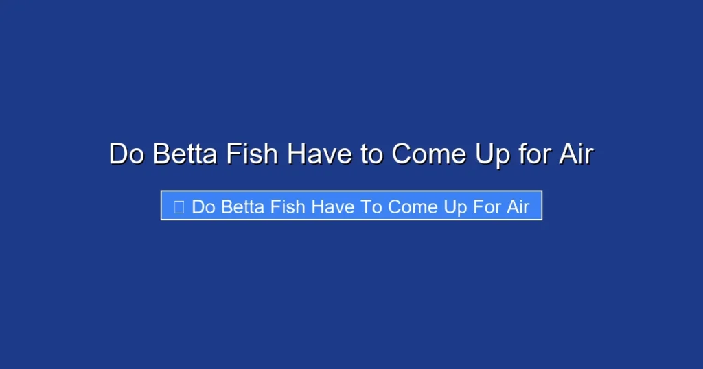 Do Betta Fish Have to Come Up for Air