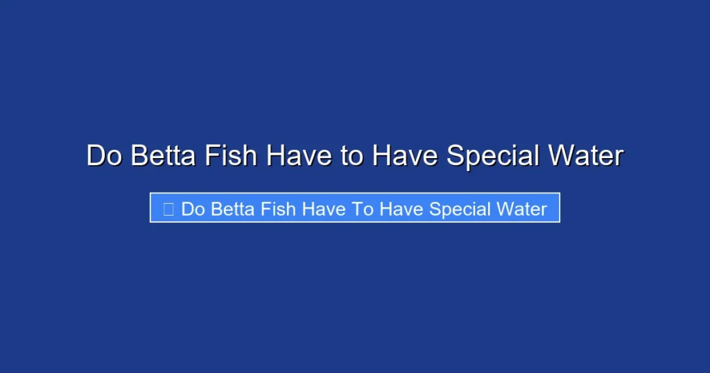 Do Betta Fish Have to Have Special Water
