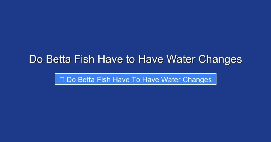 Do Betta Fish Have to Have Water Changes