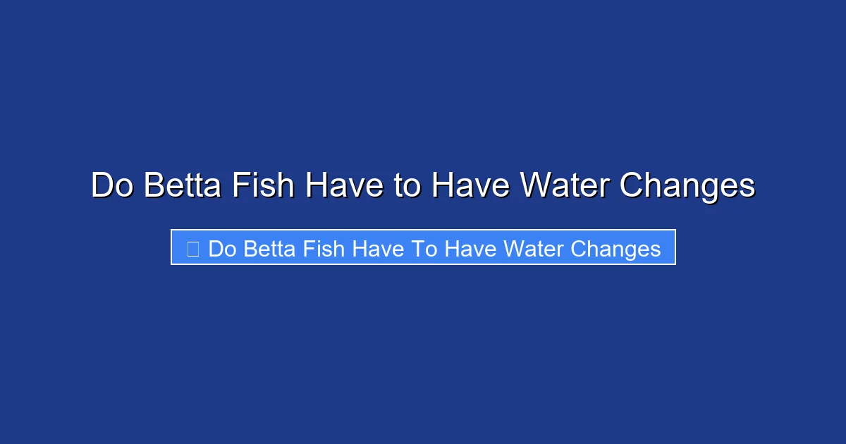 Do Betta Fish Have to Have Water Changes