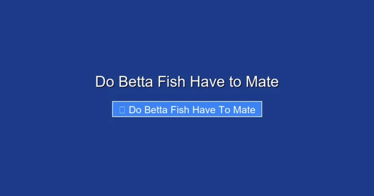 Do Betta Fish Have to Mate