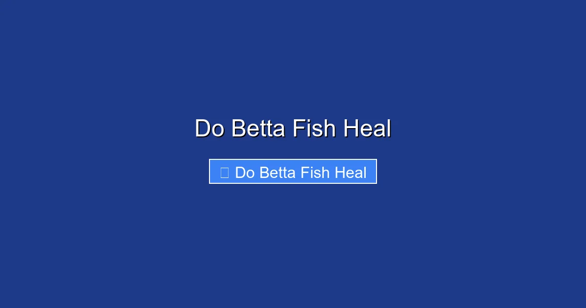 Do Betta Fish Heal