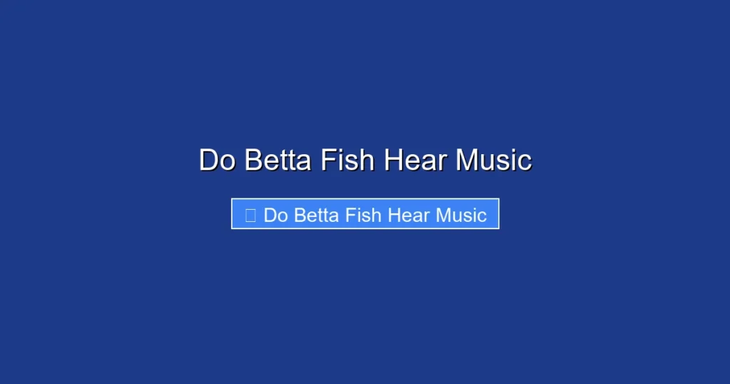 Do Betta Fish Hear Music