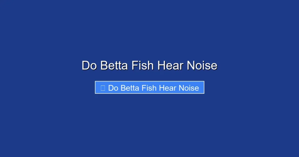 Do Betta Fish Hear Noise