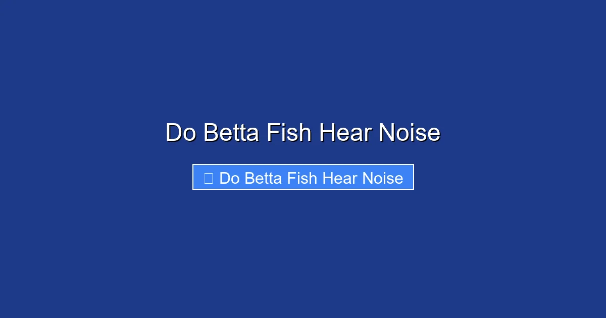 Do Betta Fish Hear Noise