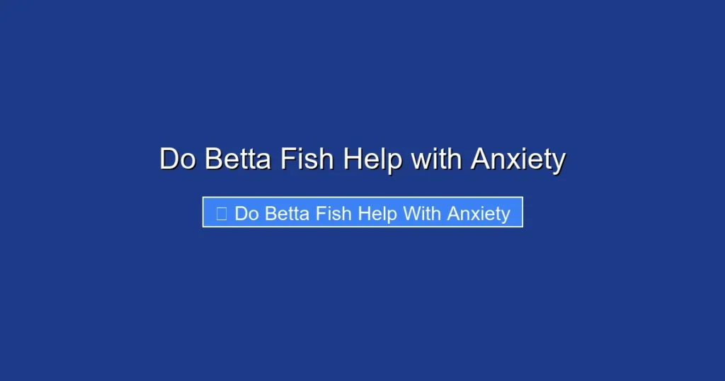 Do Betta Fish Help with Anxiety