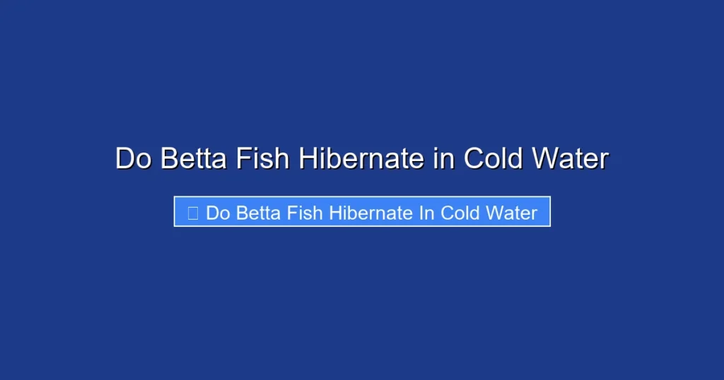 Do Betta Fish Hibernate in Cold Water