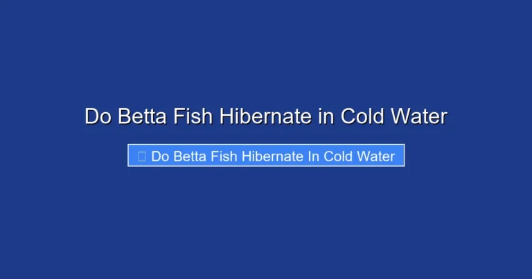 Do Betta Fish Hibernate in Cold Water