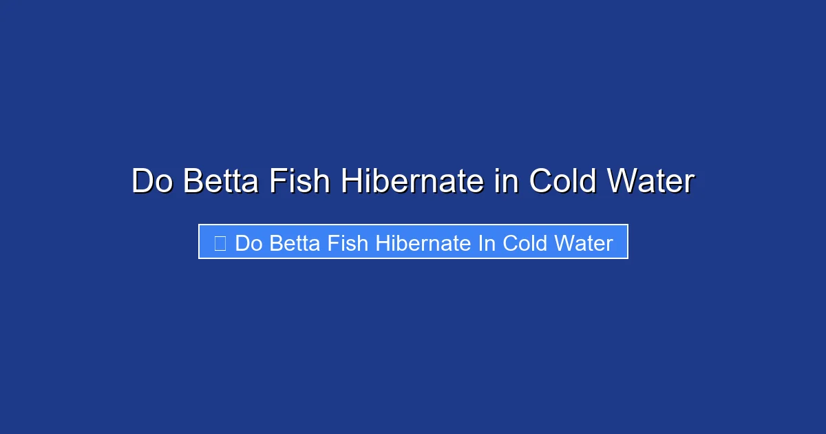 Do Betta Fish Hibernate in Cold Water