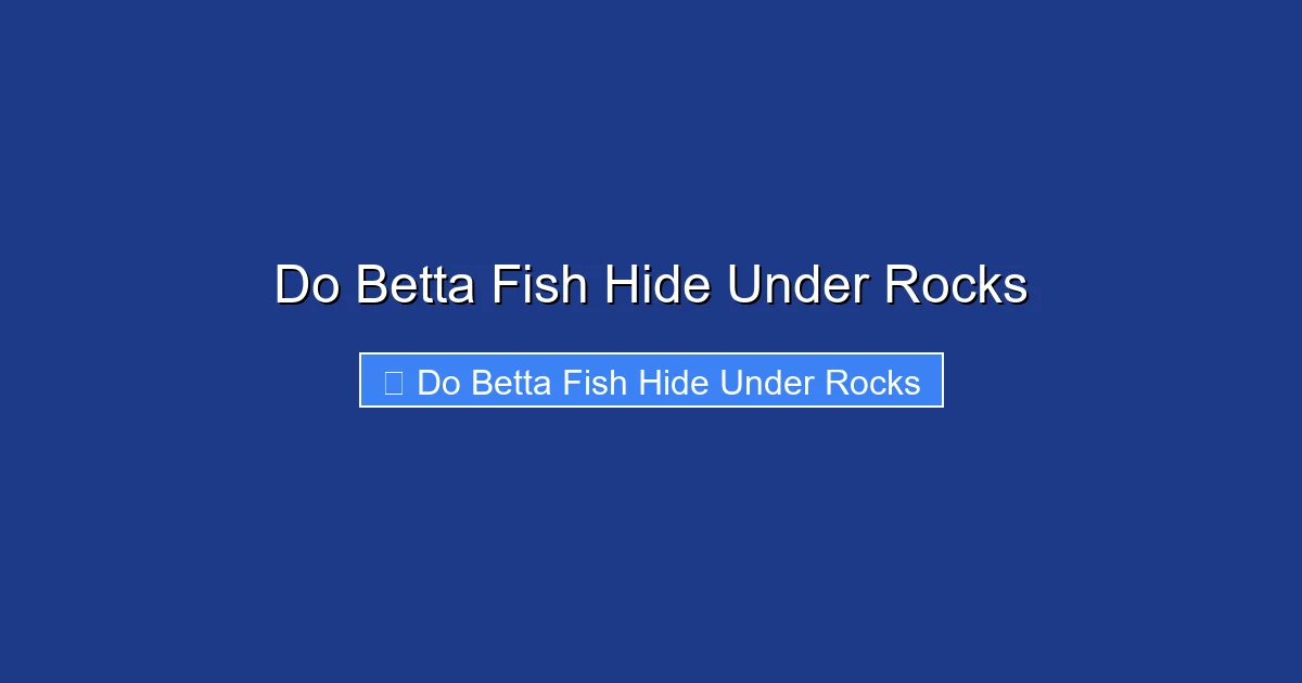 Do Betta Fish Hide Under Rocks