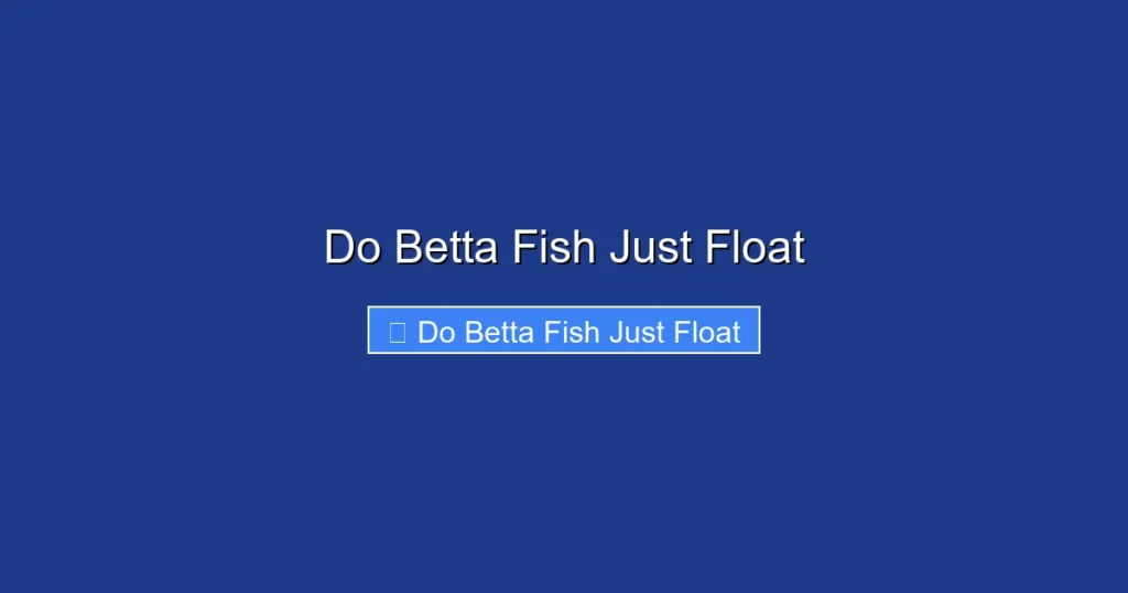 Do Betta Fish Just Float