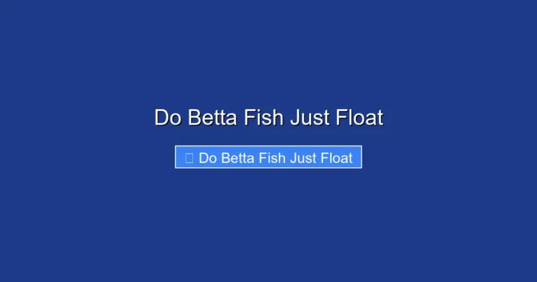 Do Betta Fish Just Float