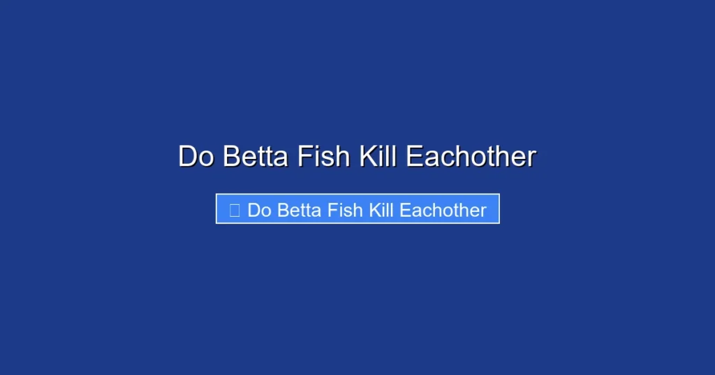 Do Betta Fish Kill Eachother